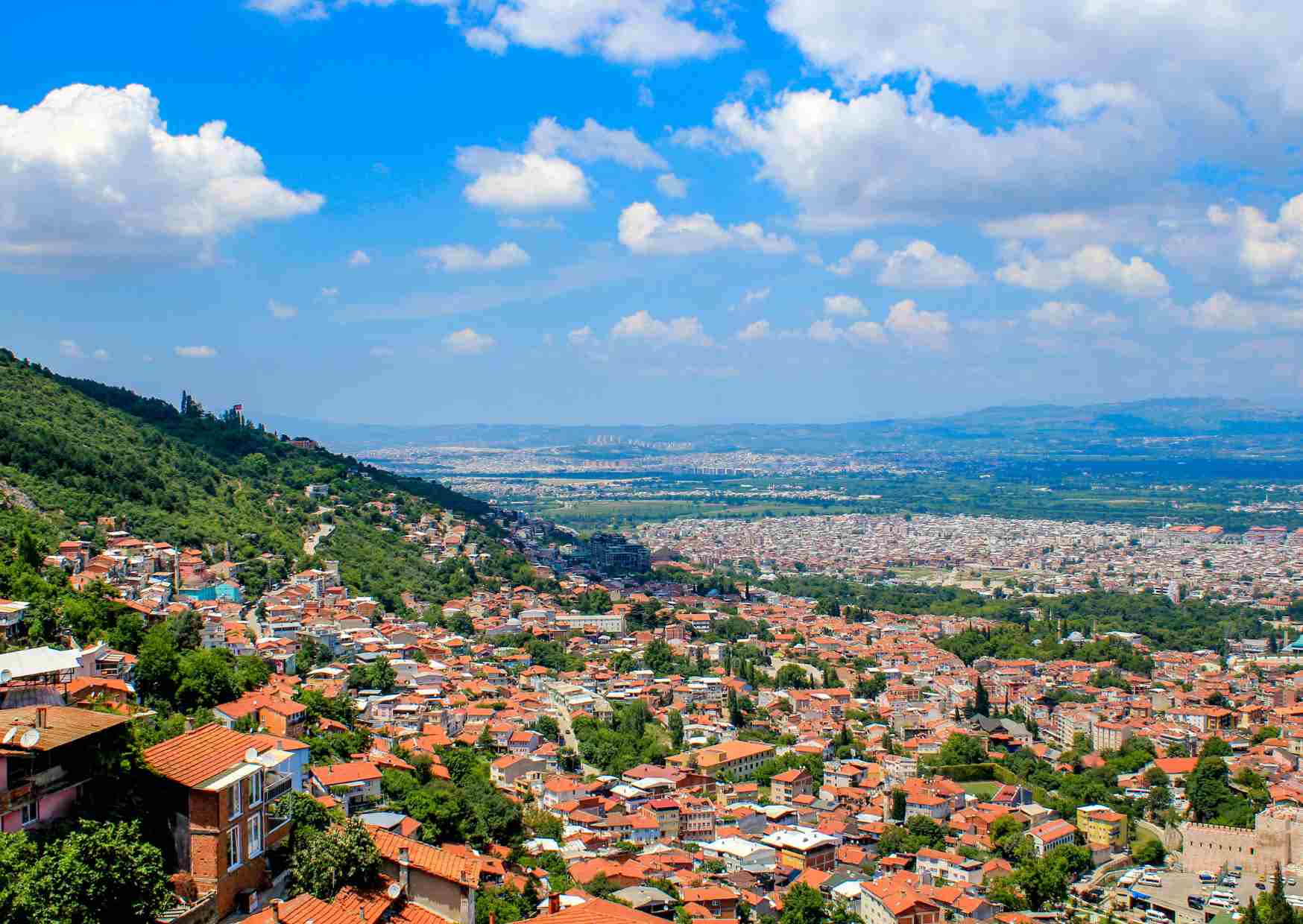 </noscript>بورصة